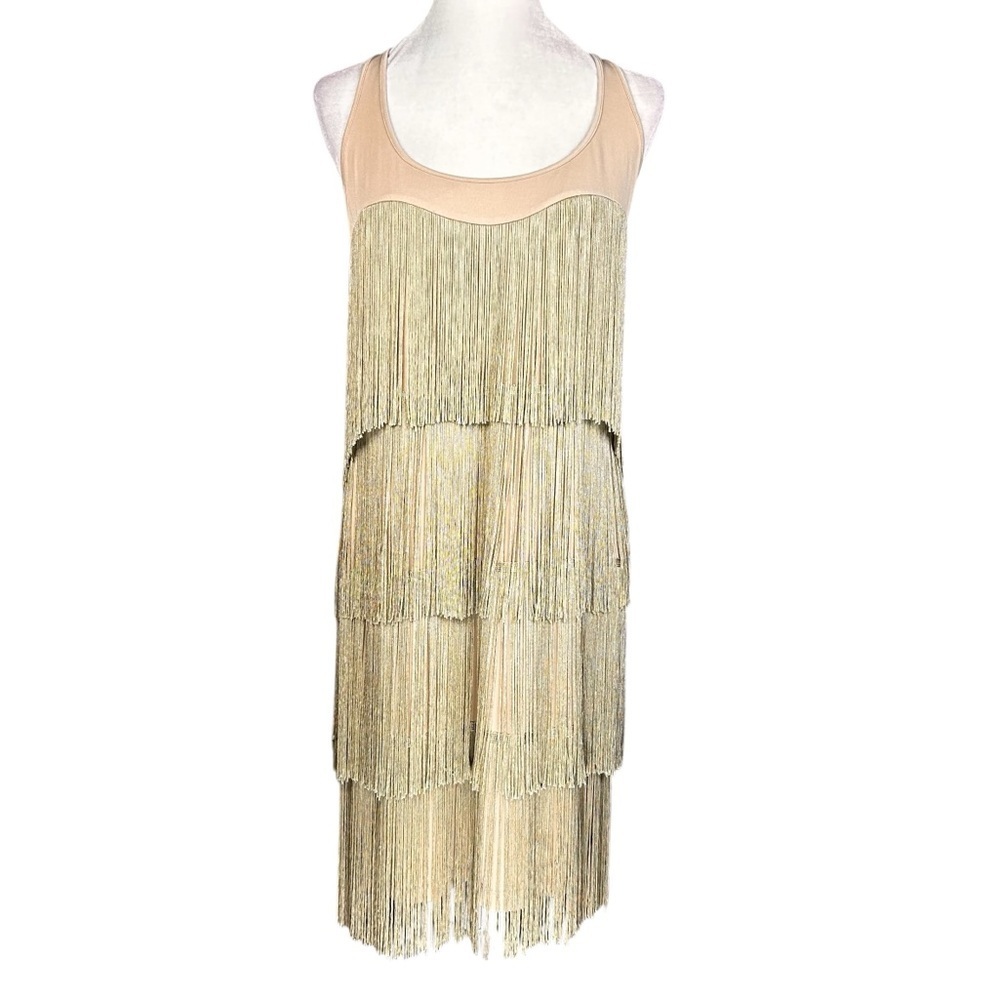 Boston Proper Muse Cocktail Dress 12 Flapper Costume Evening Party Fringe